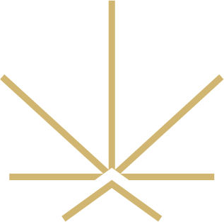 Cannabis Gold Logo — fondo crema