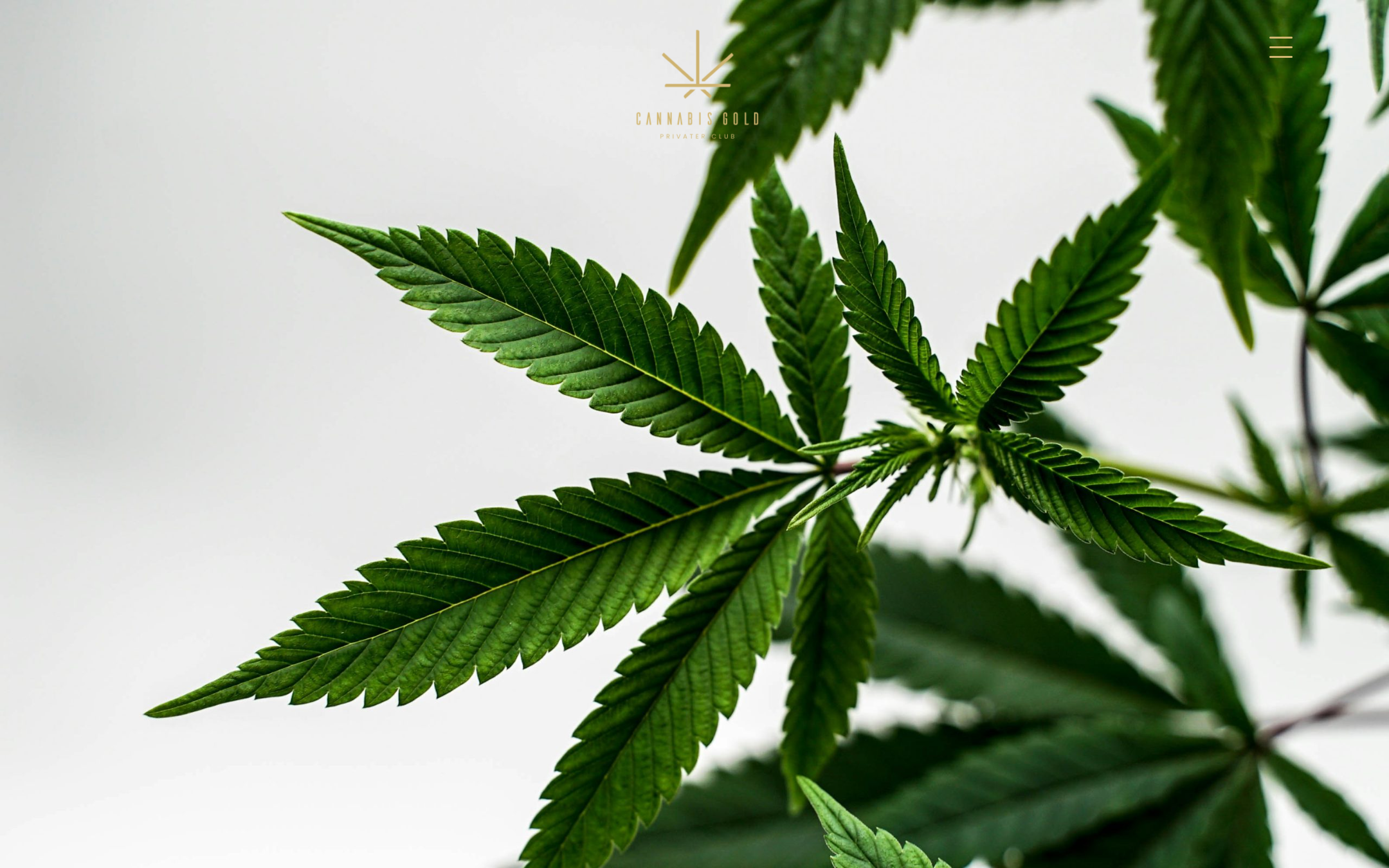 Cannabis Gold website